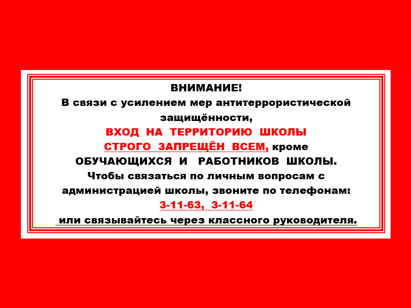 Губернатор поздравил медалистов с успешным окончанием школы | РИАМО